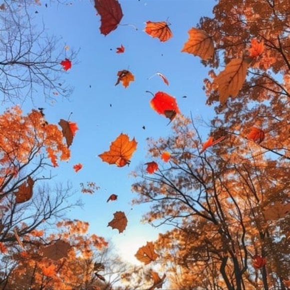 Meet your Posher, Kate - Picture 2 of 2